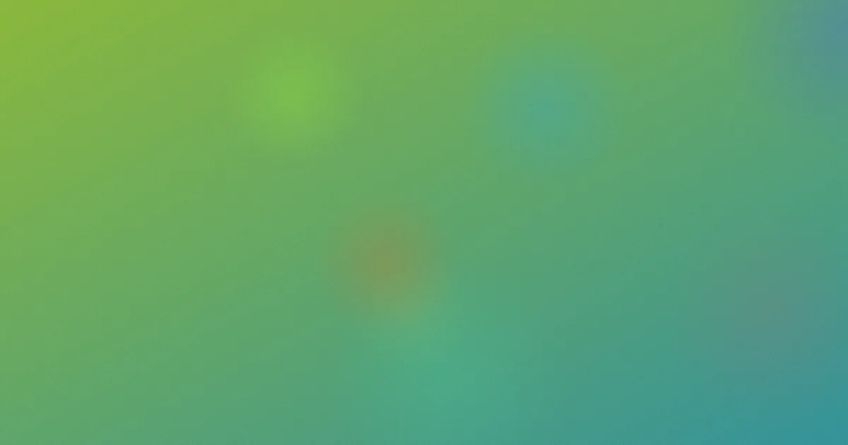 徐盛测评：新手避坑版